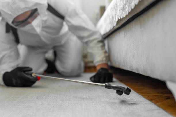 Professional Pest Control technician working in Madison County County, MS